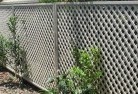 Lathlainback-yard-fencing-10.jpg; ?>